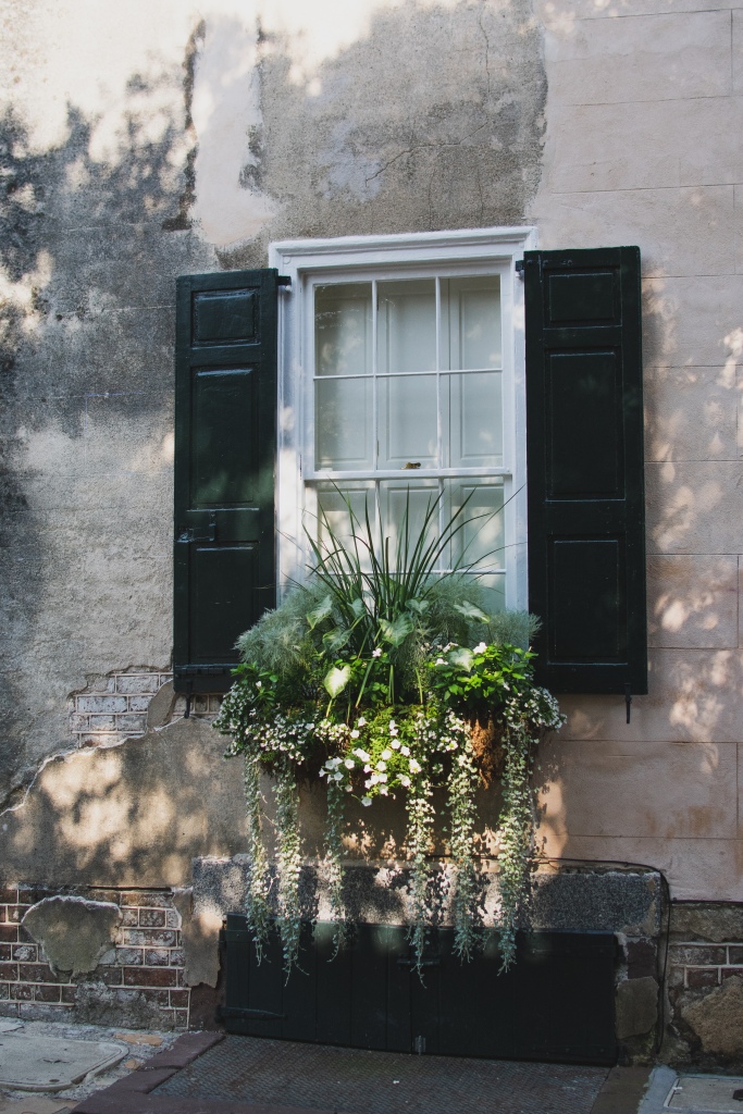 Brick and stucco exterior with dark shutters and overflowing windowbox